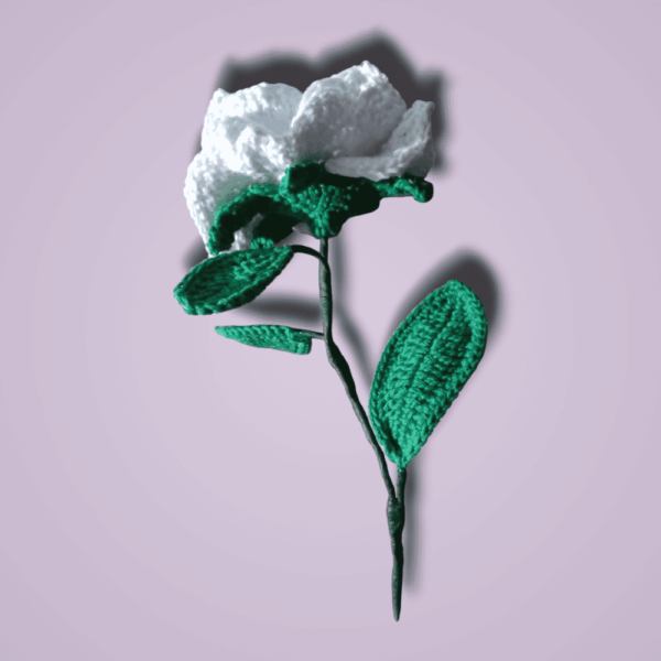 Rosa Eterna Tejida: Un Símbolo de Amor Perfecto